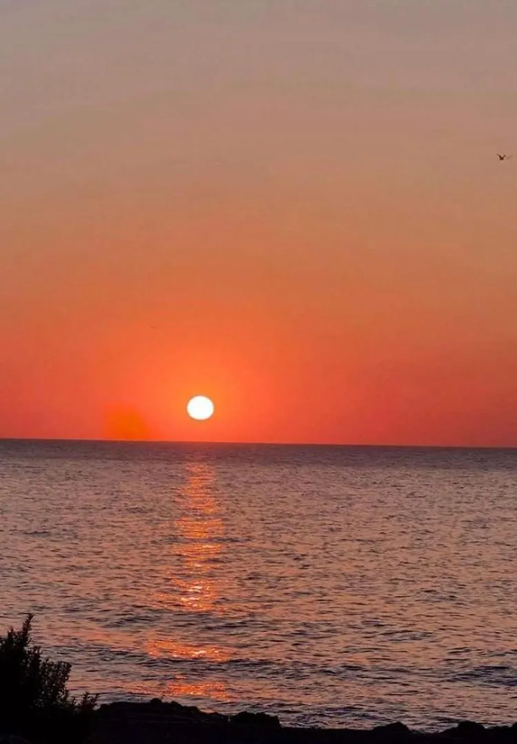 Paraiso Pinar De Garrucha